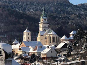 Apartmán v centre, Kremnica